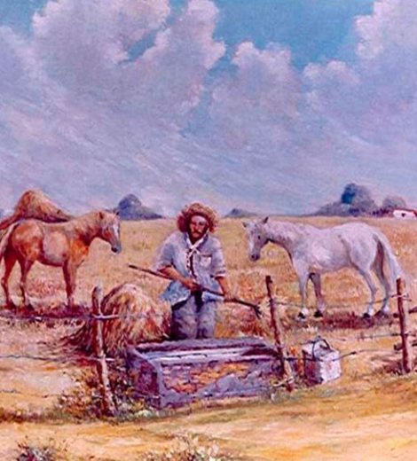 Campo santafesino