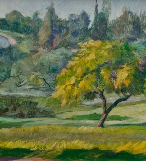 Paisaje cordobés