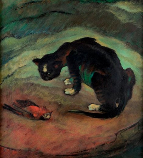 Gato
