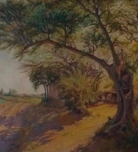 Viejo paraíso