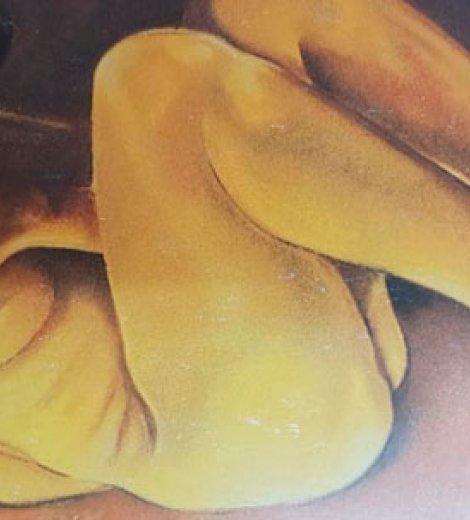 Desnudo
