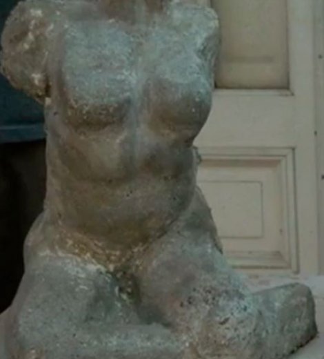 Torso